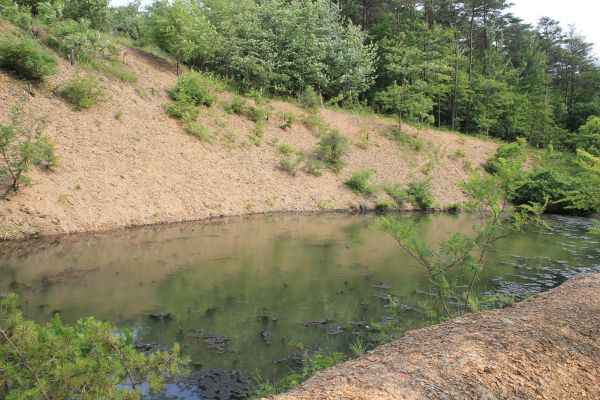 Cost of Pond Erosion Repair in Eau Claire